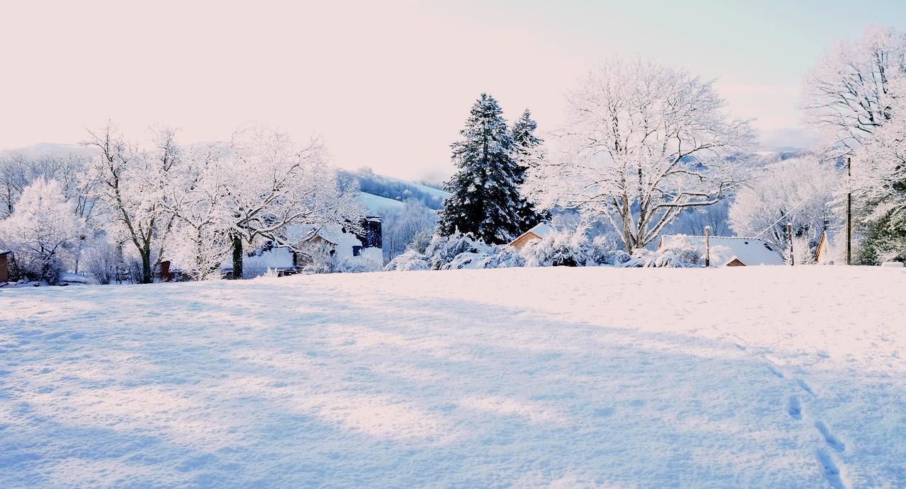 Domaine Des Marequiers Chambre Pimprenelle Saint-Germain-du-Teil Exterior photo